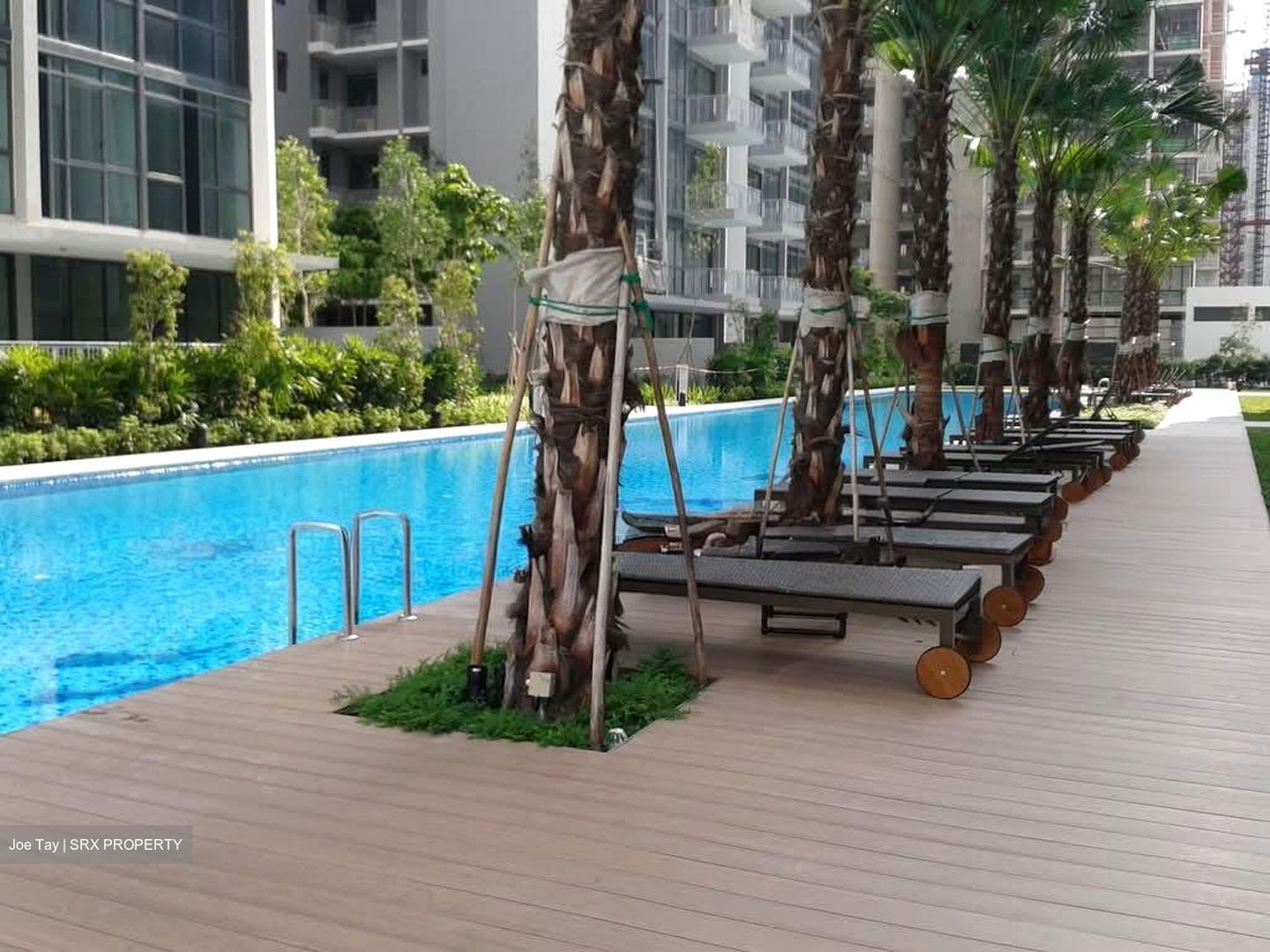 The Luxurie (D19), Condominium #566144001